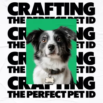 Pet ID Tags That Work: What to Put (and Skip)