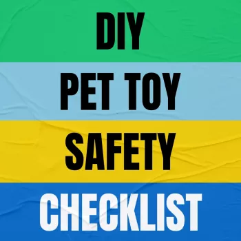 DIY Pet Toy Safety Checklist: Materials, Builds, Risks
