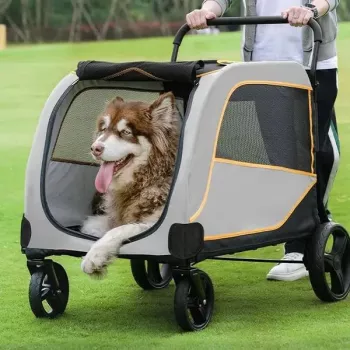 Luxury Dog Stroller Guide: Smooth, Safe, Stylish Rides